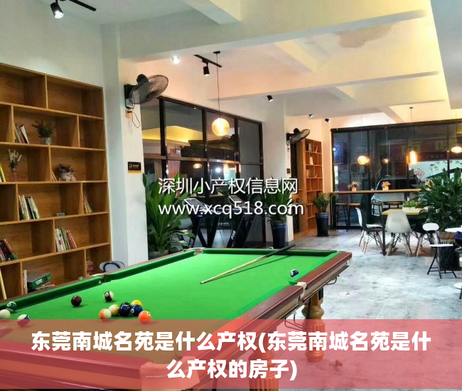 东莞南城名苑是什么产权(东莞南城名苑是什么产权的房子)