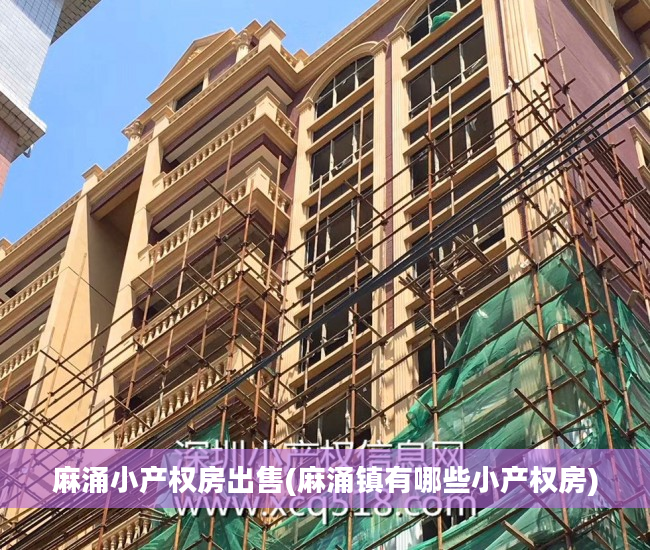 麻涌小产权房出售(麻涌镇有哪些小产权房)