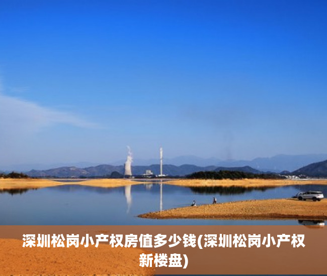 深圳松岗小产权房值多少钱(深圳松岗小产权新楼盘)