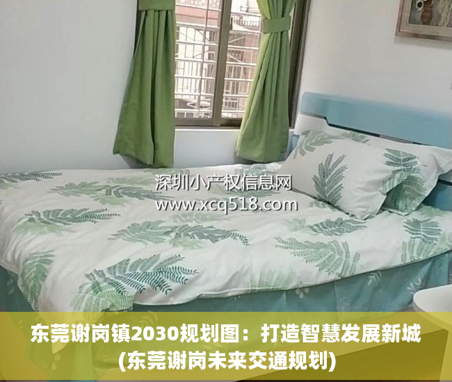 东莞谢岗镇2030规划图：打造智慧发展新城(东莞谢岗未来交通规划)