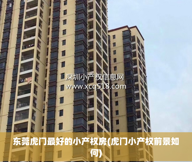 东莞虎门最好的小产权房(虎门小产权前景如何)