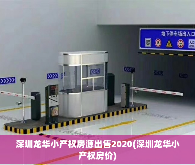 深圳龙华小产权房源出售2020(深圳龙华小产权房价)