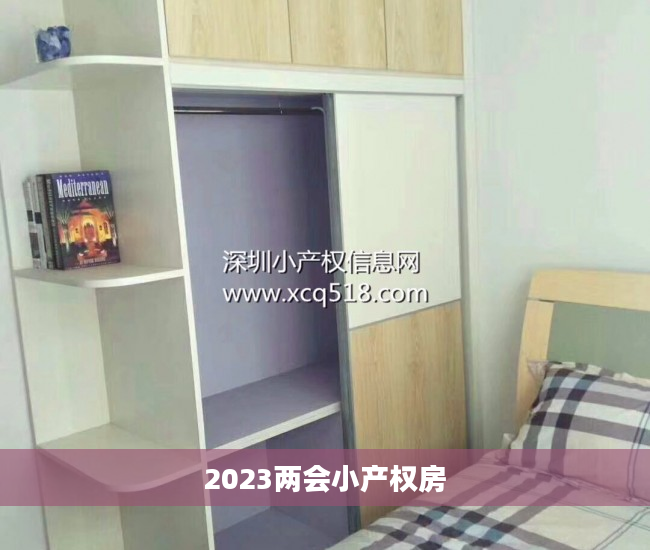 2023两会小产权房