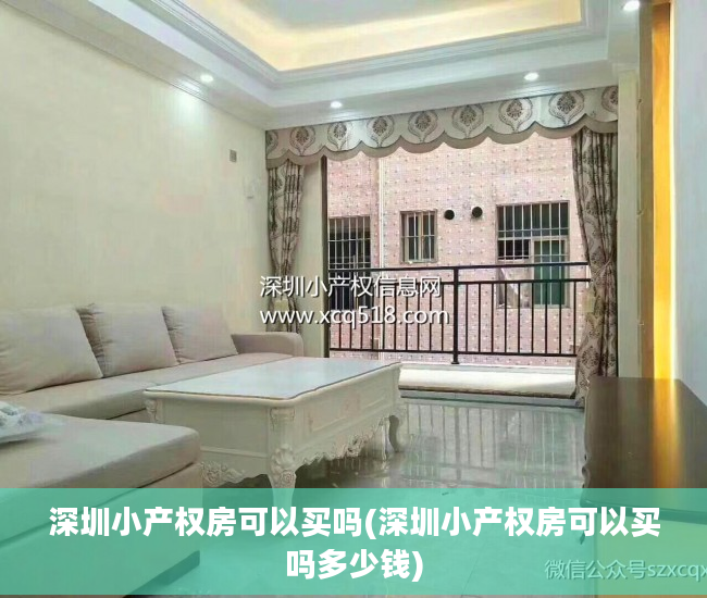 深圳小产权房可以买吗(深圳小产权房可以买吗多少钱)