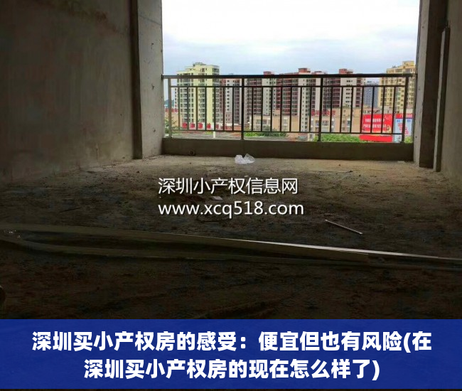 深圳买小产权房的感受：便宜但也有风险(在深圳买小产权房的现在怎么样了)