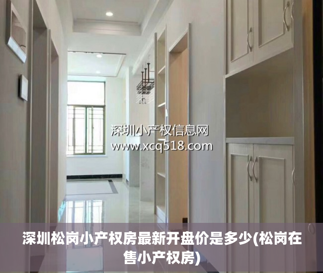 深圳松岗小产权房最新开盘价是多少(松岗在售小产权房)