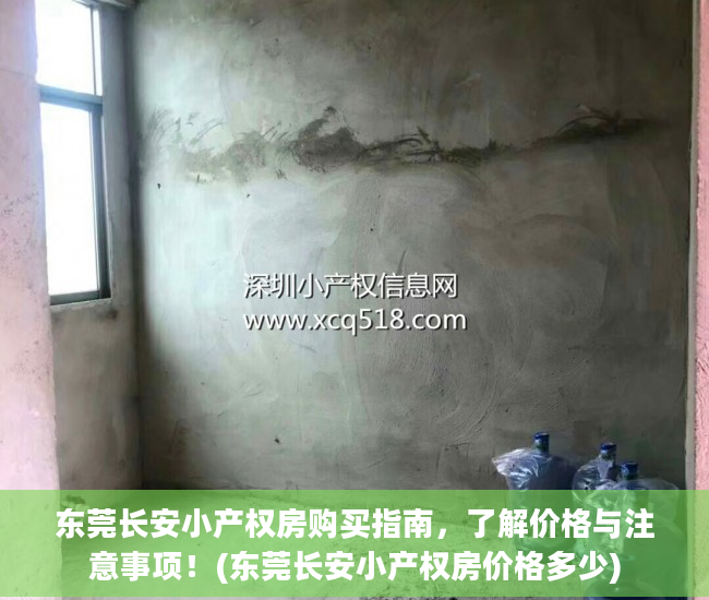 东莞长安小产权房购买指南，了解价格与注意事项！(东莞长安小产权房价格多少)