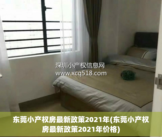 东莞小产权房最新政策2021年(东莞小产权房最新政策2021年价格)