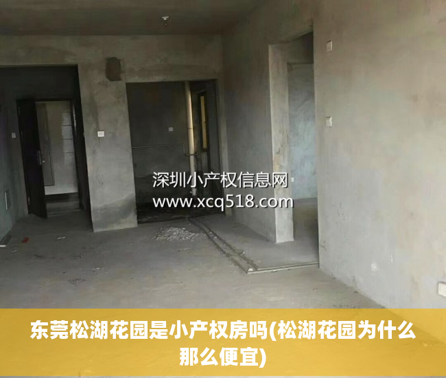 东莞松湖花园是小产权房吗(松湖花园为什么那么便宜)