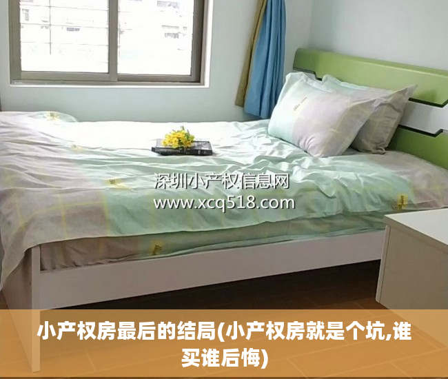 小产权房最后的结局(小产权房就是个坑,谁买谁后悔)