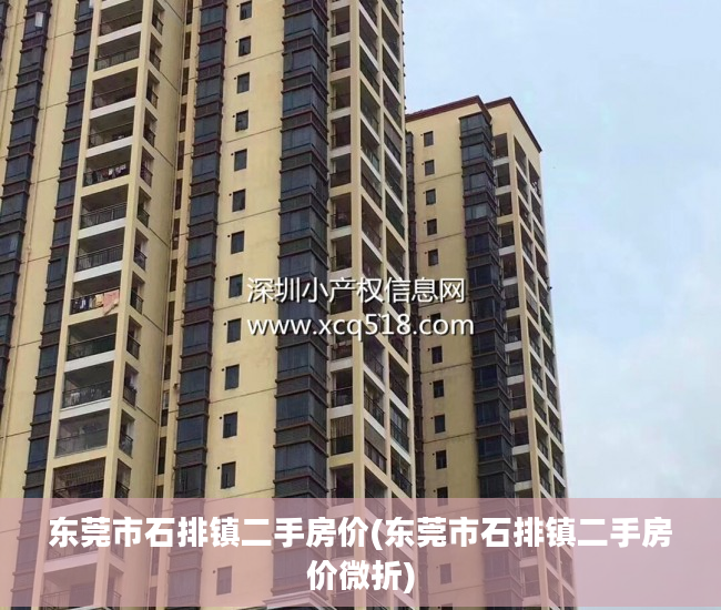 东莞市石排镇二手房价(东莞市石排镇二手房价微折)