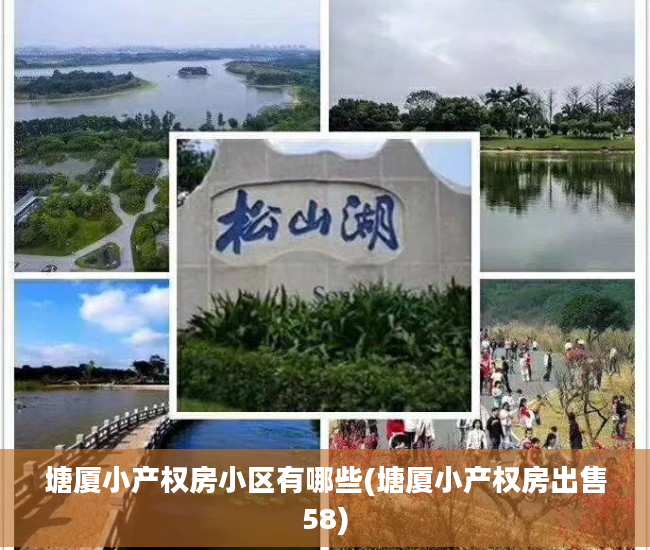 塘厦小产权房小区有哪些(塘厦小产权房出售58)