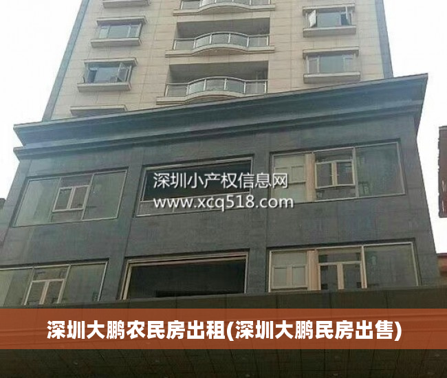 深圳大鹏农民房出租(深圳大鹏民房出售)