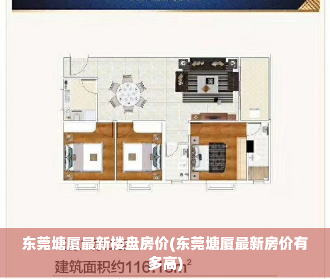 东莞塘厦最新楼盘房价(东莞塘厦最新房价有多高)