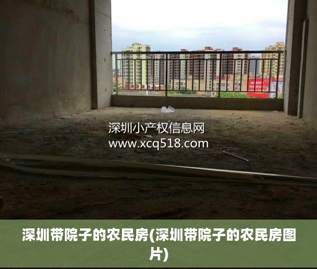 深圳带院子的农民房(深圳带院子的农民房图片)