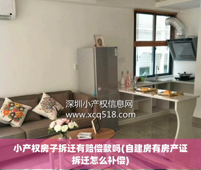 小产权房子拆迁有赔偿款吗(自建房有房产证拆迁怎么补偿)