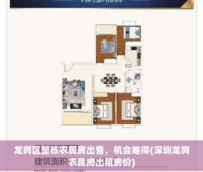 龙岗区整栋农民房出售，机会难得(深圳龙岗农民房出租房价)