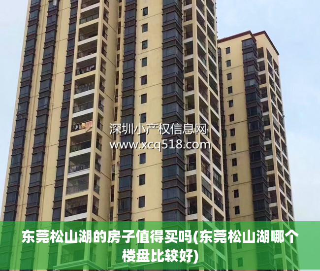东莞松山湖的房子值得买吗(东莞松山湖哪个楼盘比较好)