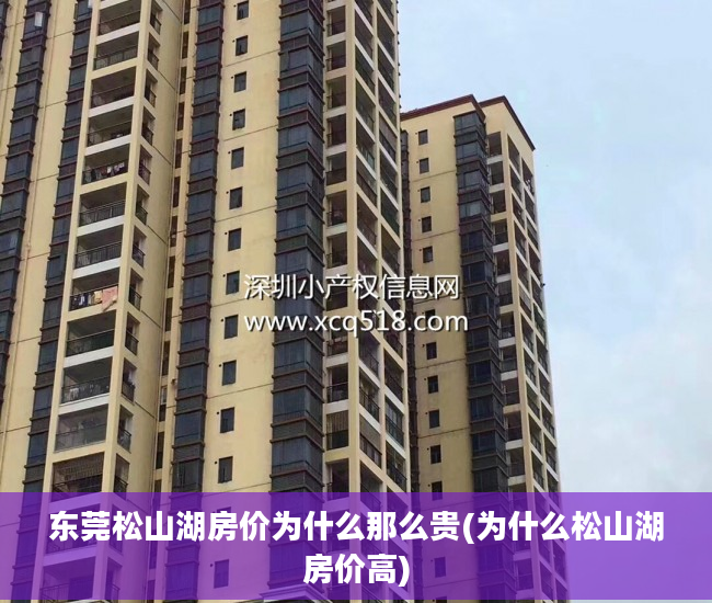东莞松山湖房价为什么那么贵(为什么松山湖房价高)