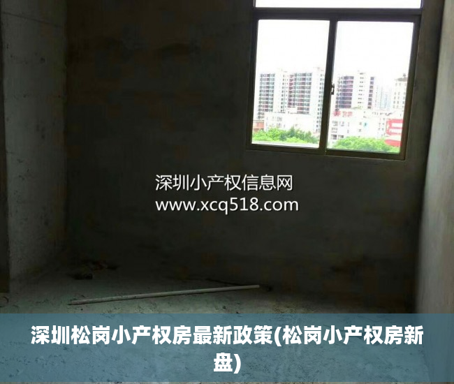 深圳松岗小产权房最新政策(松岗小产权房新盘)