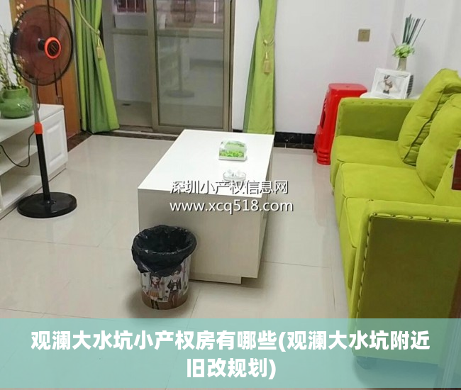 观澜大水坑小产权房有哪些(观澜大水坑附近旧改规划)