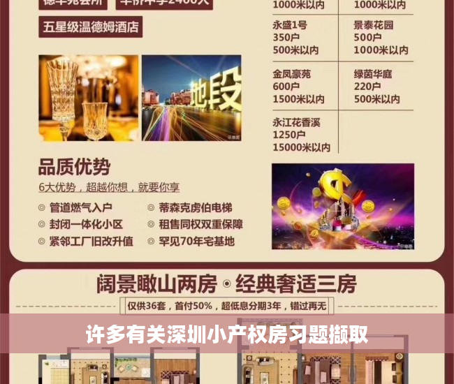 许多有关深圳小产权房习题撷取