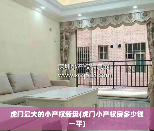 虎门最大的小产权新盘(虎门小产权房多少钱一平)