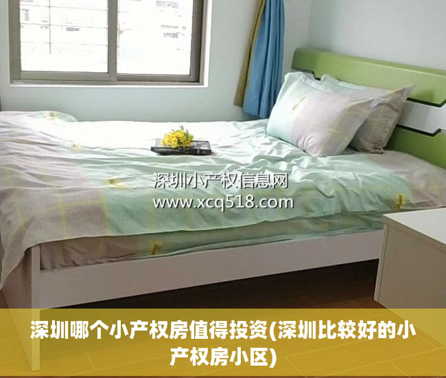 深圳哪个小产权房值得投资(深圳比较好的小产权房小区)