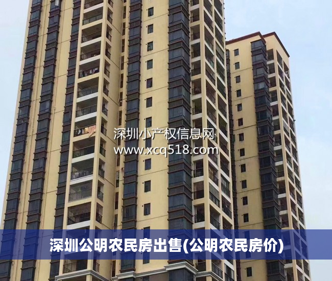 深圳公明农民房出售(公明农民房价)