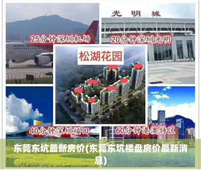 东莞东坑最新房价(东莞东坑楼盘房价最新消息)