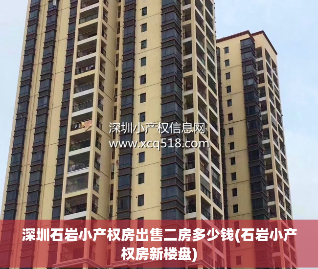 深圳石岩小产权房出售二房多少钱(石岩小产权房新楼盘)
