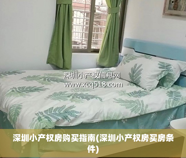 深圳小产权房购买指南(深圳小产权房买房条件)