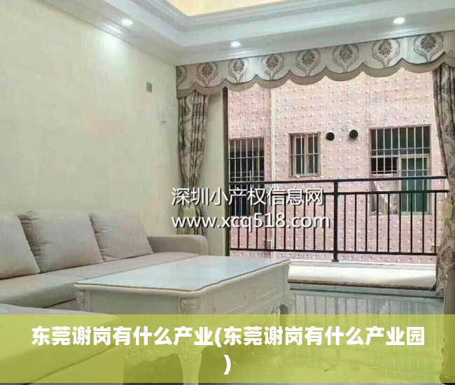 东莞谢岗有什么产业(东莞谢岗有什么产业园)