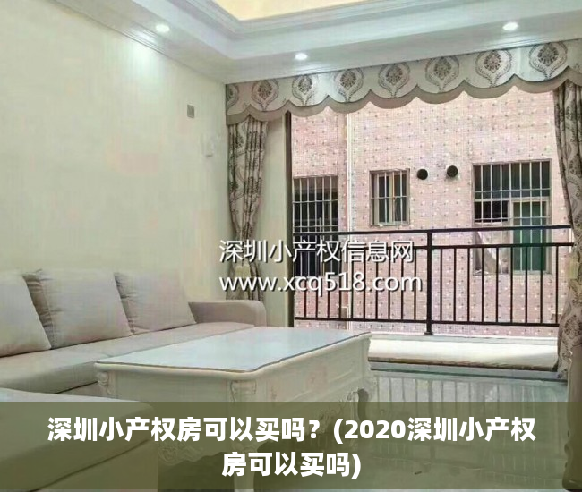 深圳小产权房可以买吗？(2020深圳小产权房可以买吗)