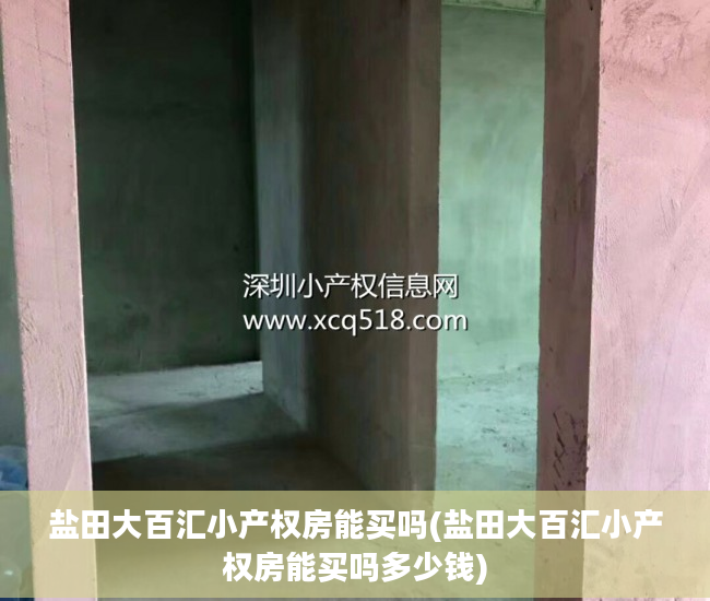 盐田大百汇小产权房能买吗(盐田大百汇小产权房能买吗多少钱)