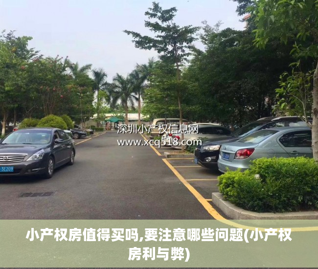 小产权房值得买吗,要注意哪些问题(小产权房利与弊)