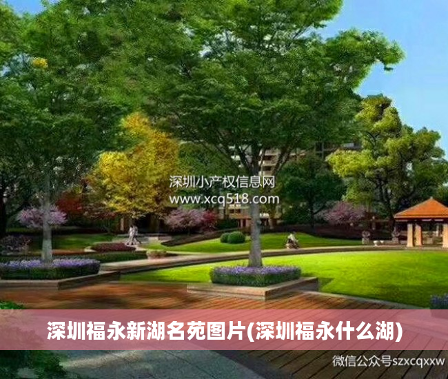 深圳福永新湖名苑图片(深圳福永什么湖)