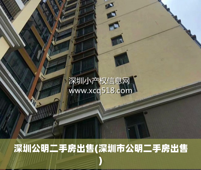 深圳公明二手房出售(深圳市公明二手房出售)