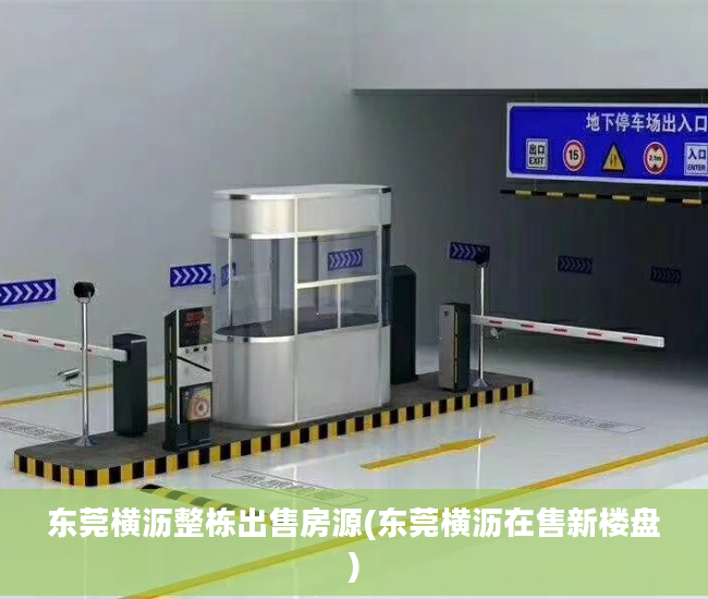 东莞横沥整栋出售房源(东莞横沥在售新楼盘)