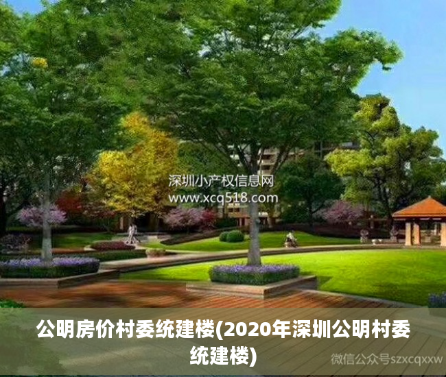 公明房价村委统建楼(2020年深圳公明村委统建楼)