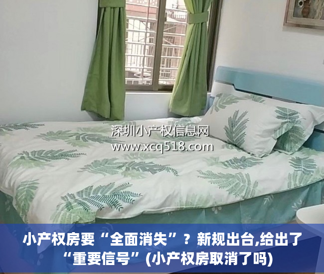小产权房要“全面消失”？新规出台,给出了“重要信号”(小产权房取消了吗)