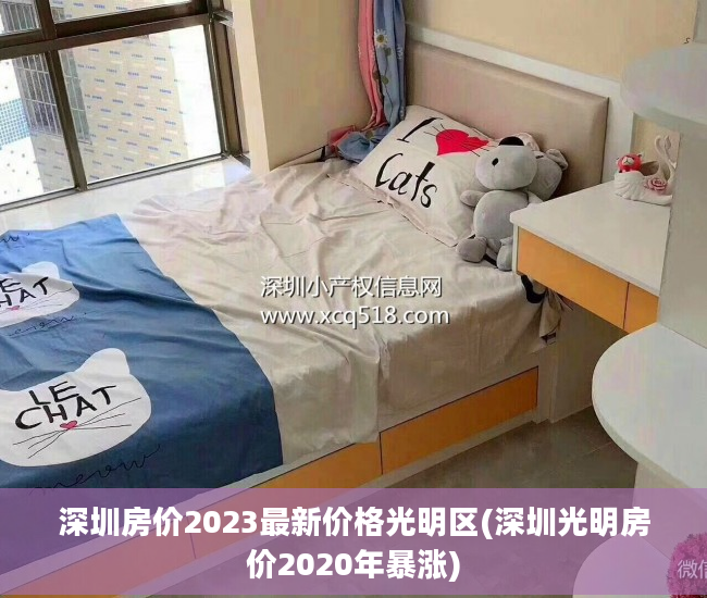深圳房价2023最新价格光明区(深圳光明房价2020年暴涨)