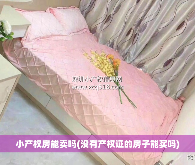 小产权房能卖吗(没有产权证的房子能买吗)