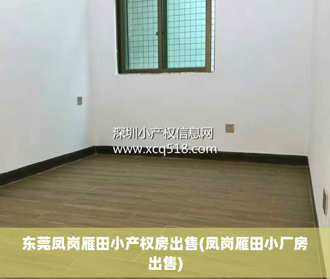 东莞凤岗雁田小产权房出售(凤岗雁田小厂房出售)