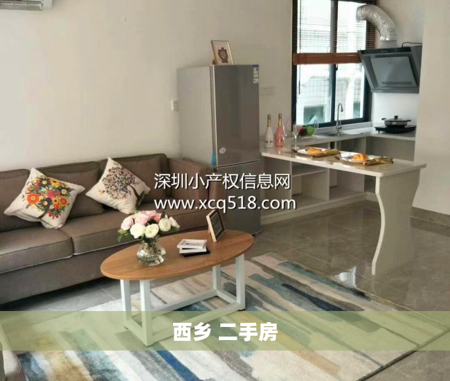 西乡 二手房