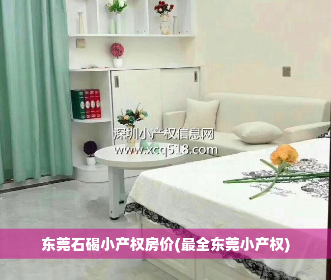 东莞石碣小产权房价(最全东莞小产权)