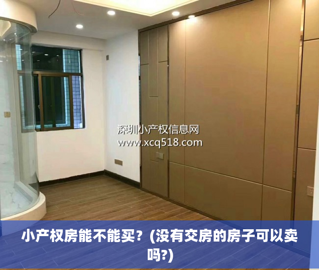 小产权房能不能买？(没有交房的房子可以卖吗?)