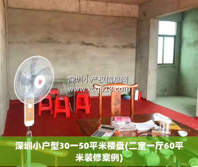深圳小户型30一50平米楼盘(二室一厅60平米装修案例)