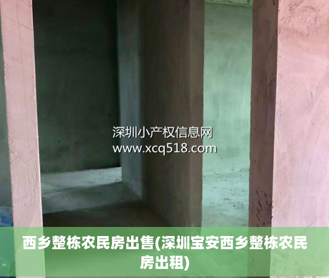 西乡整栋农民房出售(深圳宝安西乡整栋农民房出租)