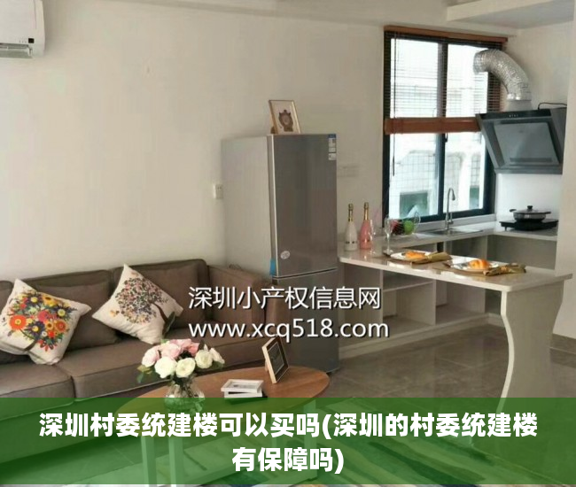 深圳村委统建楼可以买吗(深圳的村委统建楼有保障吗)